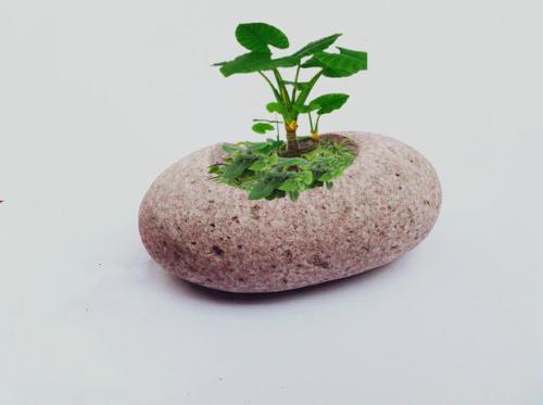 辦公室裝修財神擺放位置禁忌 辦公室裝修財神爺最佳擺放的位置?